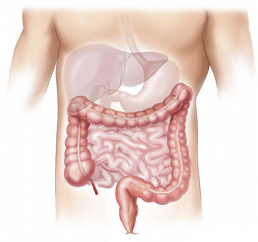 GASTROKLINIK | Primäre biliäre Cholangiti, Colitis ulcerosa